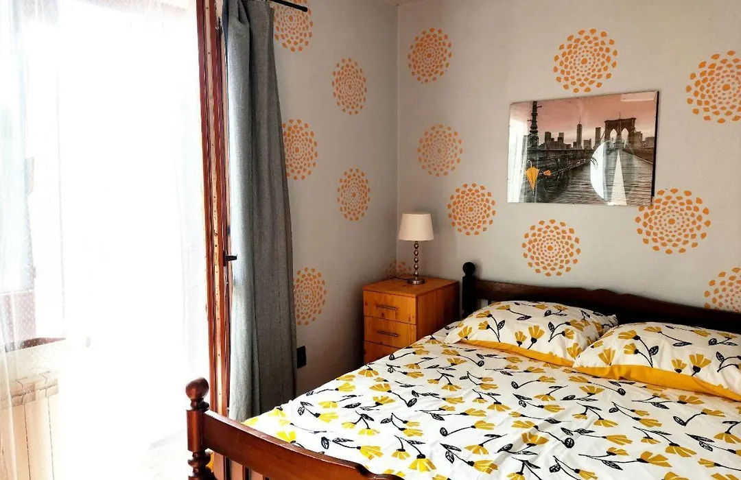 Vector Home-1