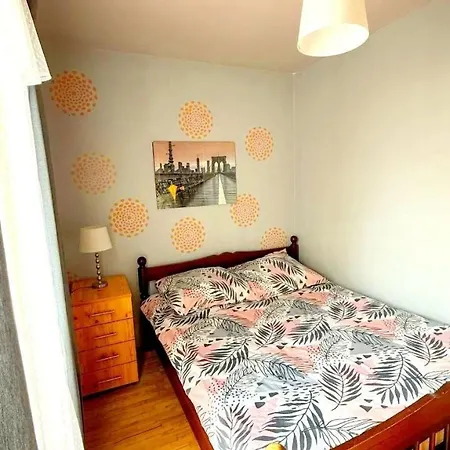 Vector Home-3
